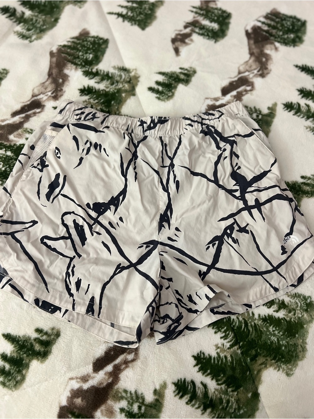 The North Face Class V Pathfinder Pull-On Athletic Shorts